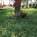 Hotel Nazan & Restaurant &