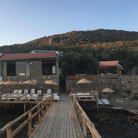 Nazan & Restaurant & Assos