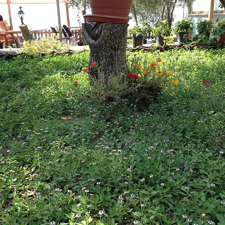 מלון Nazan & Restaurant &