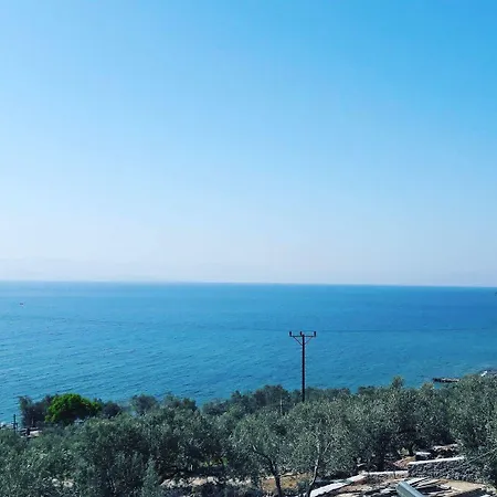 Nazan & Restaurant & 3*