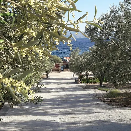 Nazan & Restaurant & Assos