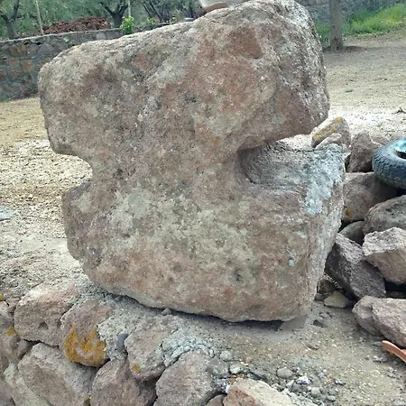 Nazan & Restaurant & Assos