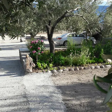 Nazan & Restaurant & מלון 3*