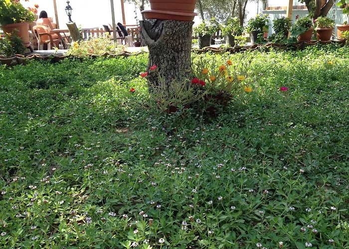 Hotel Nazan & Restaurant &