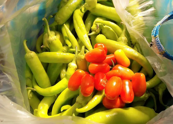 Hotel Nazan & Restaurant & Assos