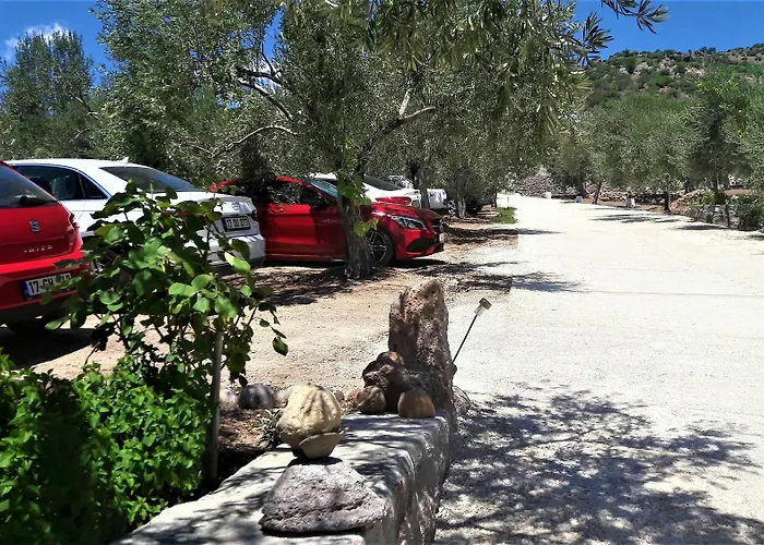 Hotel Nazan & Restaurant & Assos